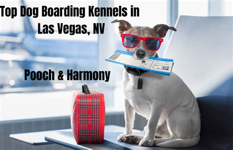 las vegas dog kennel boarding.